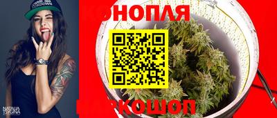 МДПВ Можайск