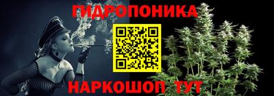шишки Можга