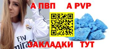 шишки Можга