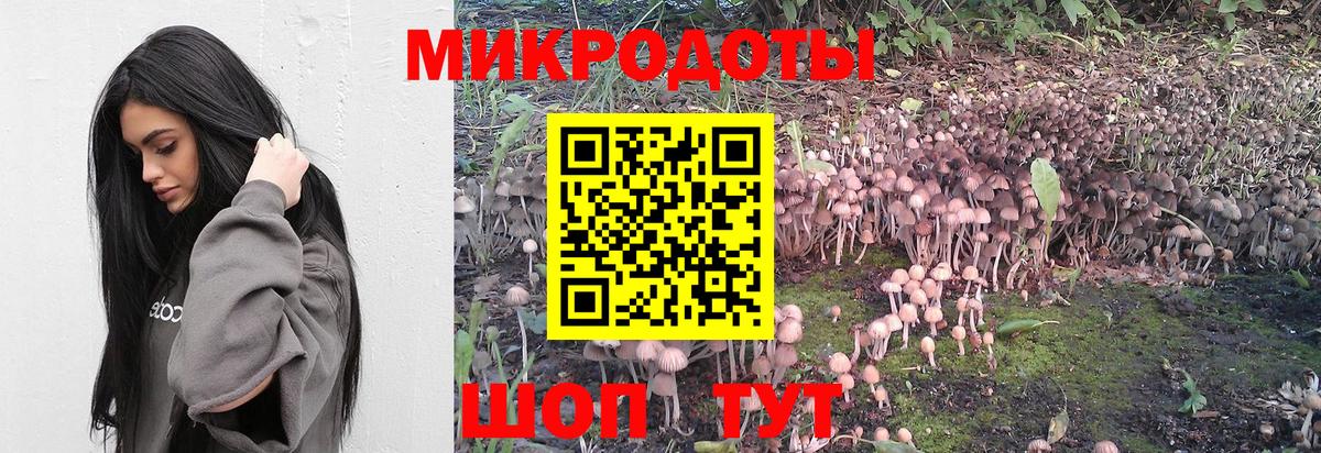 что такое   Вход с VPN  Галлюциногенные грибы прущие грибы  Северобайкальск  Галлюциногенные грибы мухоморы 