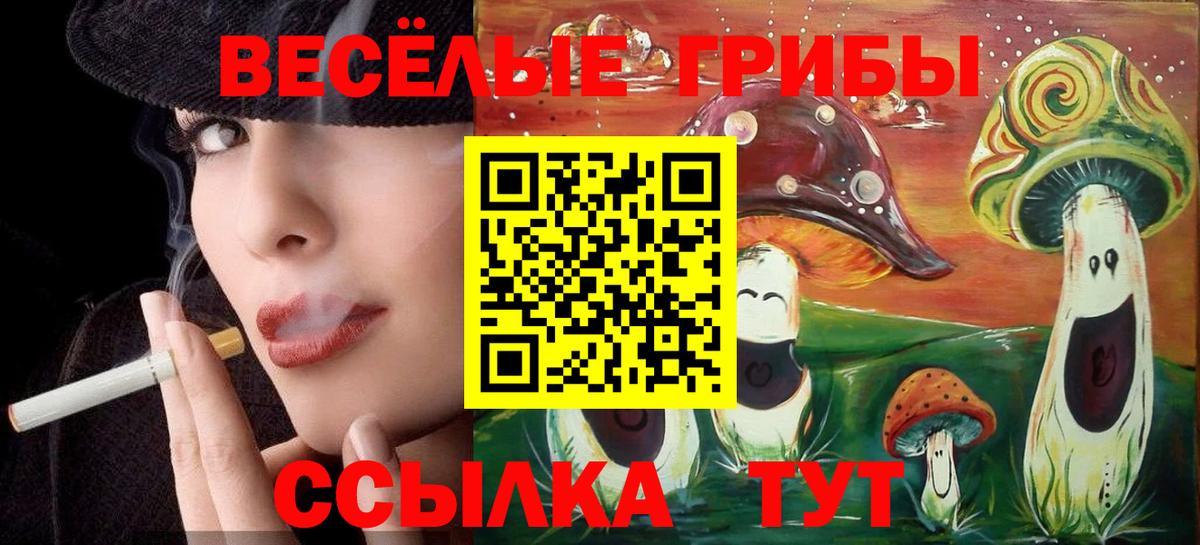 Псилоцибиновые грибы мицелий Северобайкальск